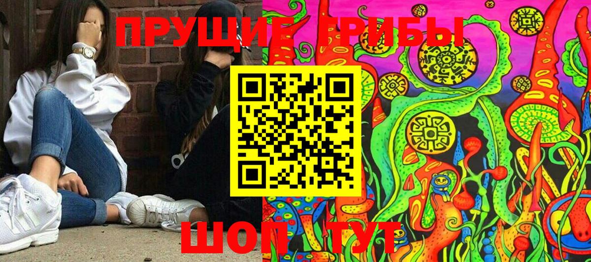 Псилоцибиновые грибы MAGIC MUSHROOMS Рославль