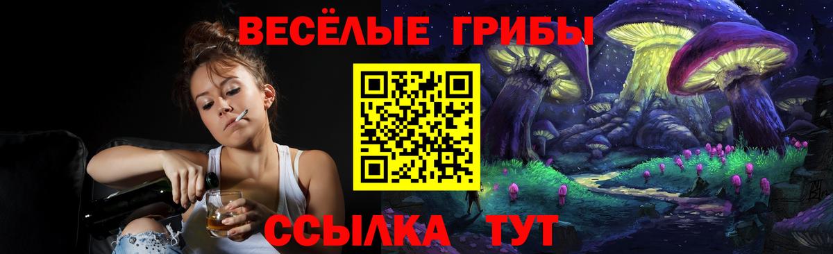 Рославль  Галлюциногенные грибы прущие грибы  Псилоцибиновые грибы мицелий  Вход с VPN 